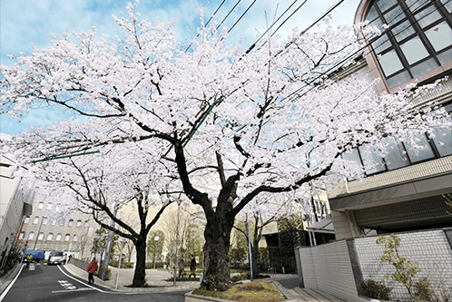 創価宝光会館/創価学会総本部